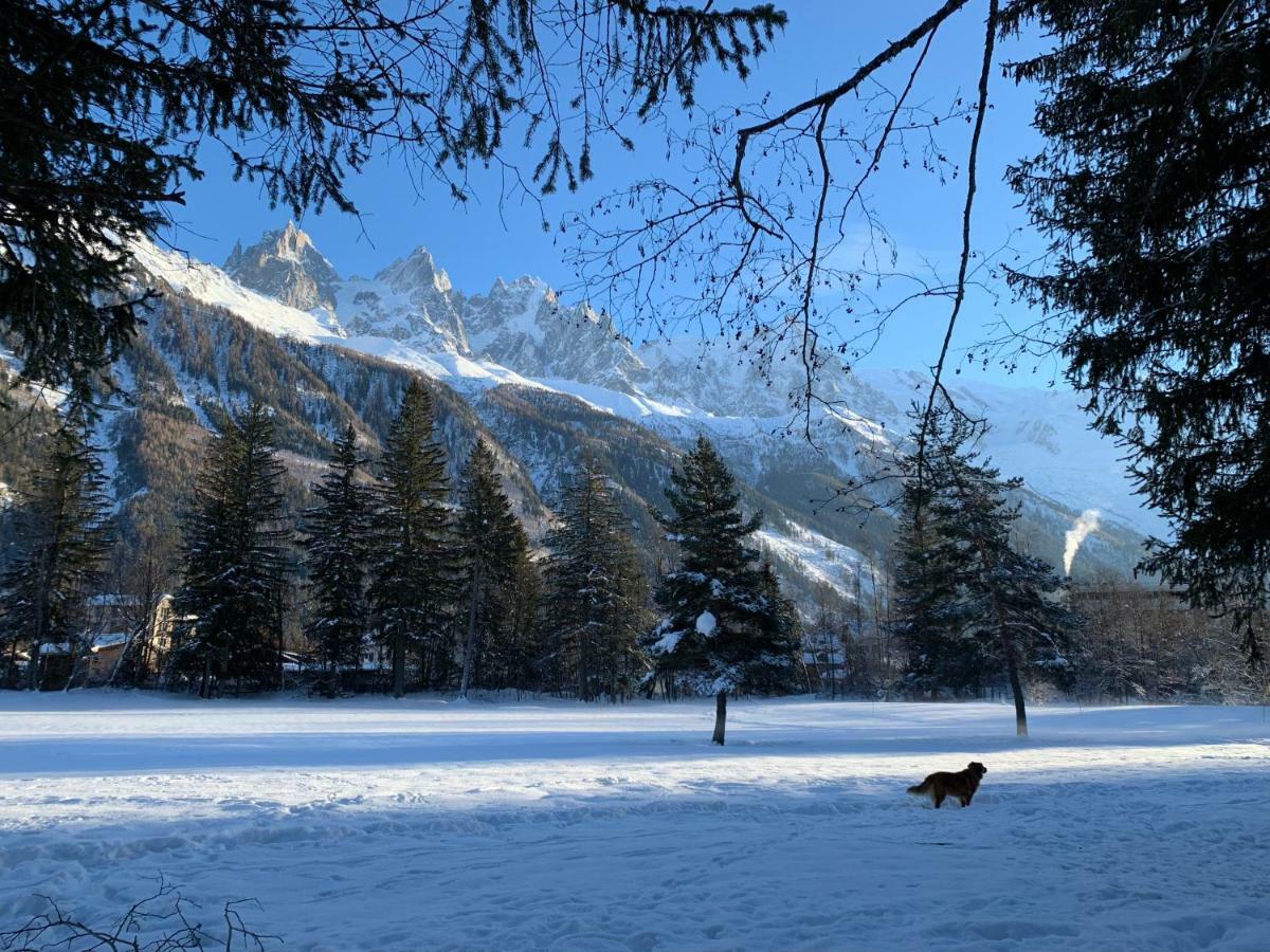 Apartment Maya, La Praz, Chamonix Mont Blanc Εξωτερικό φωτογραφία